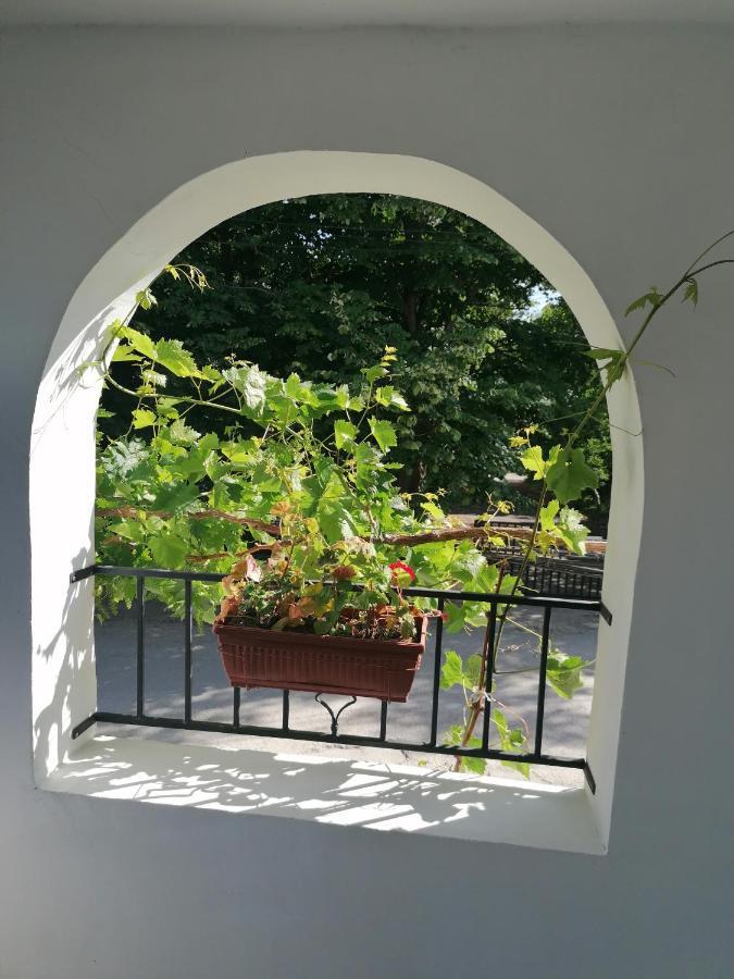 Villa Steffi 金沙 外观 照片